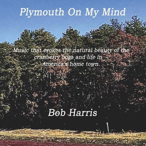 Cover art for Plymouth on My Mind